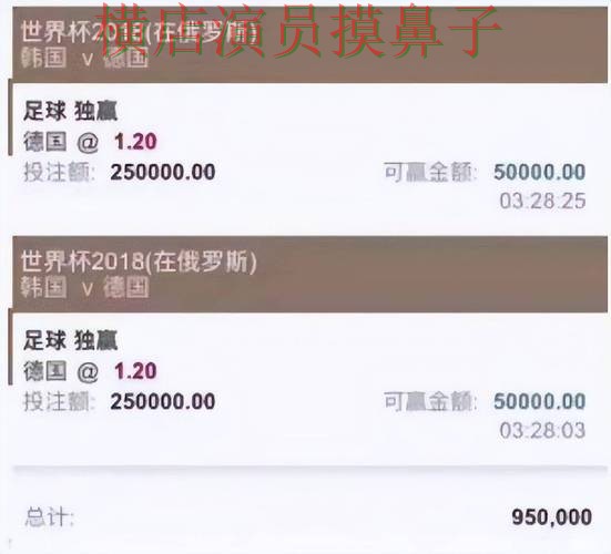 世界杯直播期间热门世界杯买球平台整理与访问方式分析 世界杯直播期间热门世界杯买球平台整理与访问方式分析